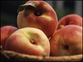 Georgia Peaches